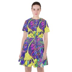 Vibrant Abstract Floral/rainbow Color Sailor Dress by dressshop