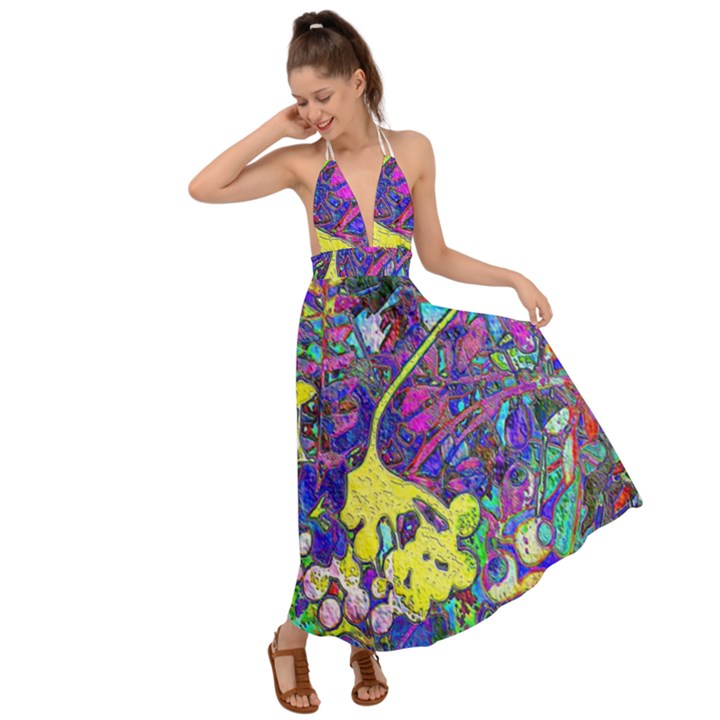 vibrant abstract floral/rainbow color Backless Maxi Beach Dress