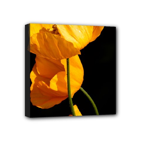 Yellow Poppies Mini Canvas 4  X 4  (stretched)