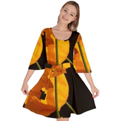 Yellow Poppies Velour Kimono Dress by Audy