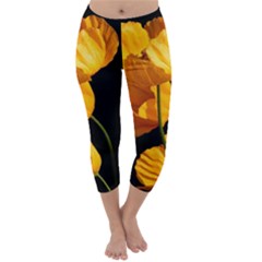 Yellow Poppies Capri Winter Leggings  by Audy