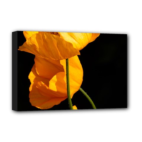 Yellow Poppies Deluxe Canvas 18  X 12  (stretched) by Audy