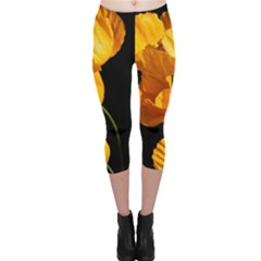 Yellow Poppies Capri Leggings  by Audy