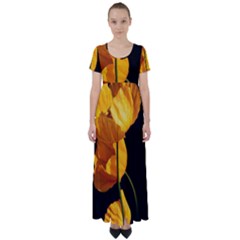 Yellow Poppies High Waist Short Sleeve Maxi Dress by Audy