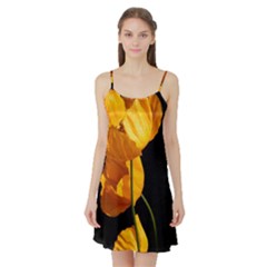 Yellow Poppies Satin Night Slip by Audy