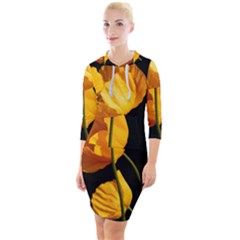 Yellow Poppies Quarter Sleeve Hood Bodycon Dress by Audy