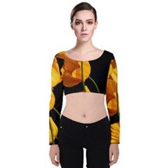 Yellow Poppies Velvet Long Sleeve Crop Top