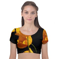 Yellow Poppies Velvet Short Sleeve Crop Top  by Audy