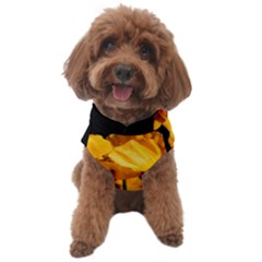Yellow Poppies Dog Sweater by Audy