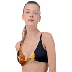 Yellow Poppies Knot Up Bikini Top by Audy