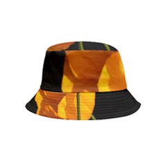Yellow Poppies Bucket Hat (kids) by Audy