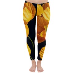 Yellow Poppies Classic Winter Leggings by Audy