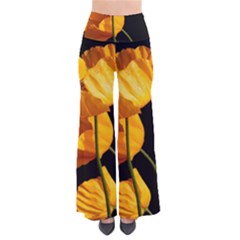 Yellow Poppies So Vintage Palazzo Pants by Audy