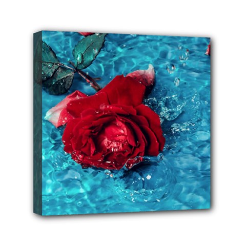 Red Roses In Water Mini Canvas 6  X 6  (stretched) by Audy