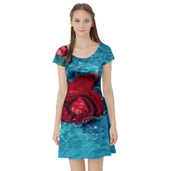 Red Roses In Water Short Sleeve Skater Dress by Audy