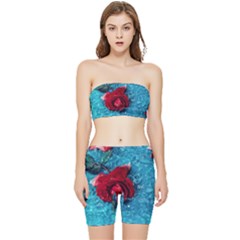 Red Roses In Water Stretch Shorts And Tube Top Set by Audy