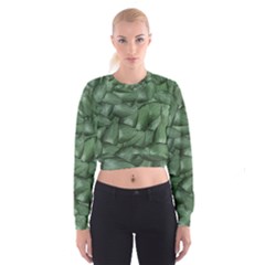 Gc (87) Cropped Sweatshirt by GiancarloCesari