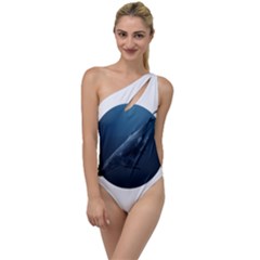 Whales To One Side Swimsuit by goljakoff