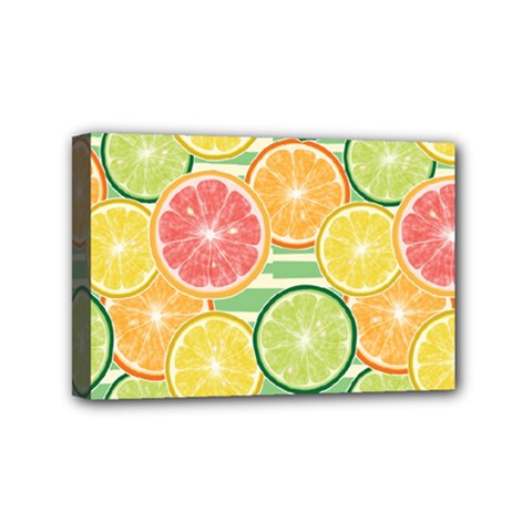 It Is Summer!! Mini Canvas 6  X 4  (stretched) by designsbymallika