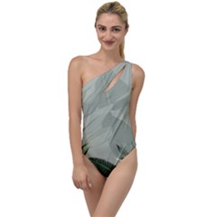 Banana Leaf Plant Pattern To One Side Swimsuit