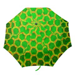 Hexagon Windows Folding Umbrellas by essentialimage