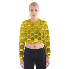 Hexagon Windows Cropped Sweatshirt by essentialimage