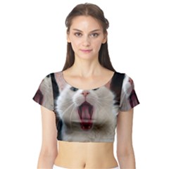 Wow Kitty Cat From Fonebook Short Sleeve Crop Top