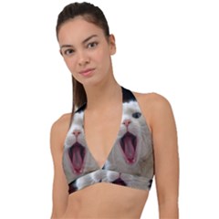 Wow Kitty Cat From Fonebook Halter Plunge Bikini Top by 2853937