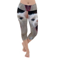 Wow Kitty Cat From Fonebook Lightweight Velour Capri Yoga Leggings by 2853937