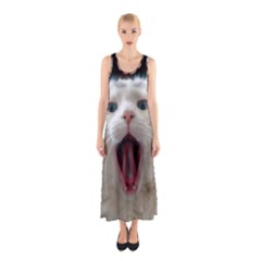 Wow Kitty Cat From Fonebook Sleeveless Maxi Dress by 2853937