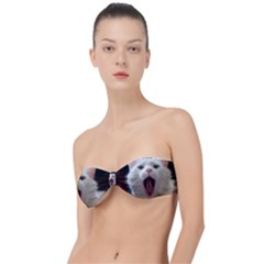 Wow Kitty Cat From Fonebook Classic Bandeau Bikini Top  by 2853937