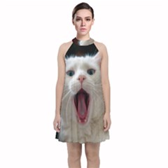 Wow Kitty Cat From Fonebook Velvet Halter Neckline Dress  by 2853937