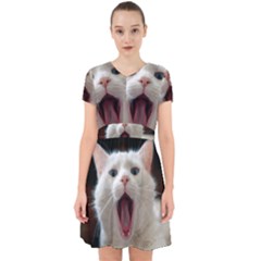 Wow Kitty Cat From Fonebook Adorable In Chiffon Dress by 2853937