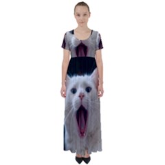 Wow Kitty Cat From Fonebook High Waist Short Sleeve Maxi Dress by 2853937