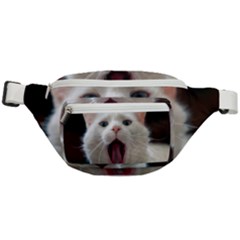 Wow Kitty Cat From Fonebook Fanny Pack by 2853937