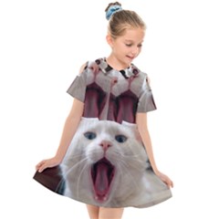 Wow Kitty Cat From Fonebook Kids  Short Sleeve Shirt Dress by 2853937