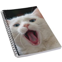 Wow Kitty Cat From Fonebook 5 5  X 8 5  Notebook by 2853937