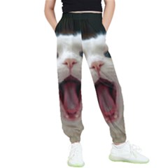 Wow Kitty Cat From Fonebook Kids  Elastic Waist Pants by 2853937