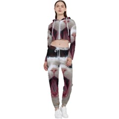 Wow Kitty Cat From Fonebook Cropped Zip Up Lounge Set by 2853937