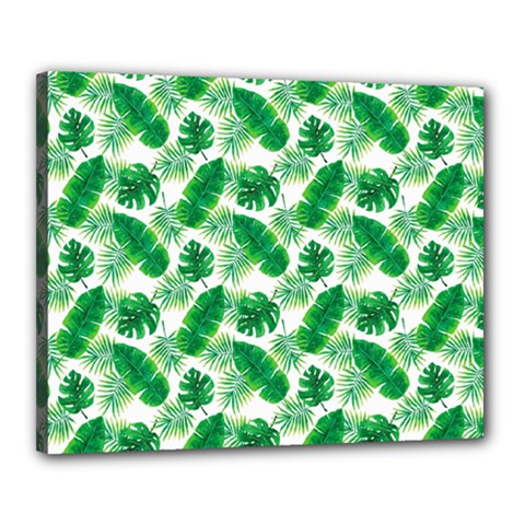 Tropical Leaf Pattern Canvas 20  X 16  (stretched)