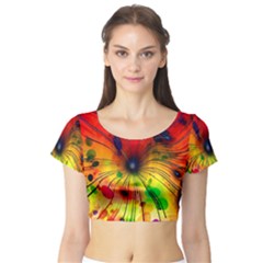 Illustrations Structure Lines Short Sleeve Crop Top