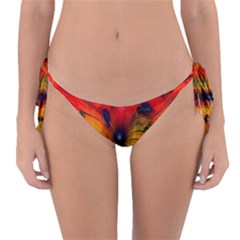 Illustrations Structure Lines Reversible Bikini Bottom