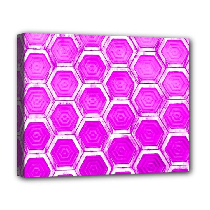 Hexagon Windows  Deluxe Canvas 20  x 16  (Stretched)