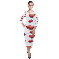 Summer Watermelon Pattern Quarter Sleeve Midi Velour Bodycon Dress