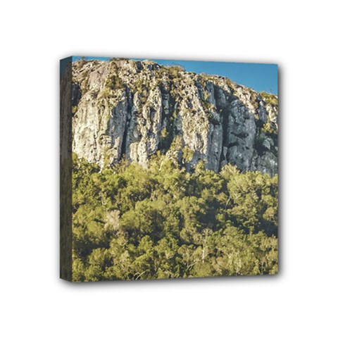 Arequita National Park, Lavalleja, Uruguay Mini Canvas 4  X 4  (stretched) by dflcprintsclothing