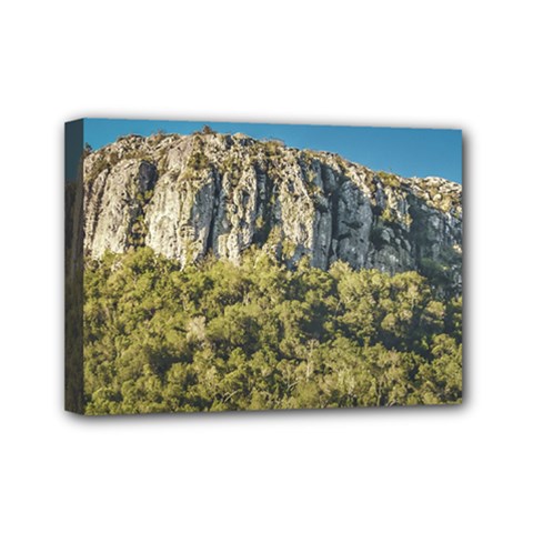 Arequita National Park, Lavalleja, Uruguay Mini Canvas 7  x 5  (Stretched)