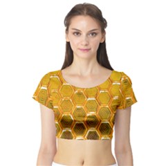 Hexagonal Windows Short Sleeve Crop Top by essentialimage365