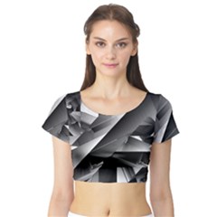 Harris Short Sleeve Crop Top by MRNStudios