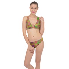 Easter Egg Colorful Texture Classic Banded Bikini Set 