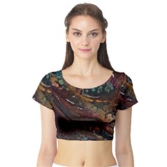 Abstract Art Short Sleeve Crop Top